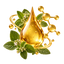 Gota de aceite de orégano con hojas botánicas y representación de compuestos naturales.