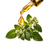 Gota de aceite de orégano líquido cayendo de un gotero junto a hojas de orégano