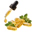 Oregano oil drops and capsules with botanical leaves representing common forms of use.