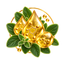 Illustration of different naturally occurring compounds found in oregano oil.