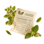 Illustration of an oregano oil usage guide and instructions with botanical elements.