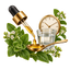 Dropper with a measured dose, clock and oregano leaves representing oregano oil dosage and instructions