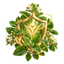 Botanical illustration of immune wellness associated with oregano oil